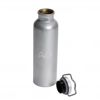 Water bottle SIGG silver, 0.75 l